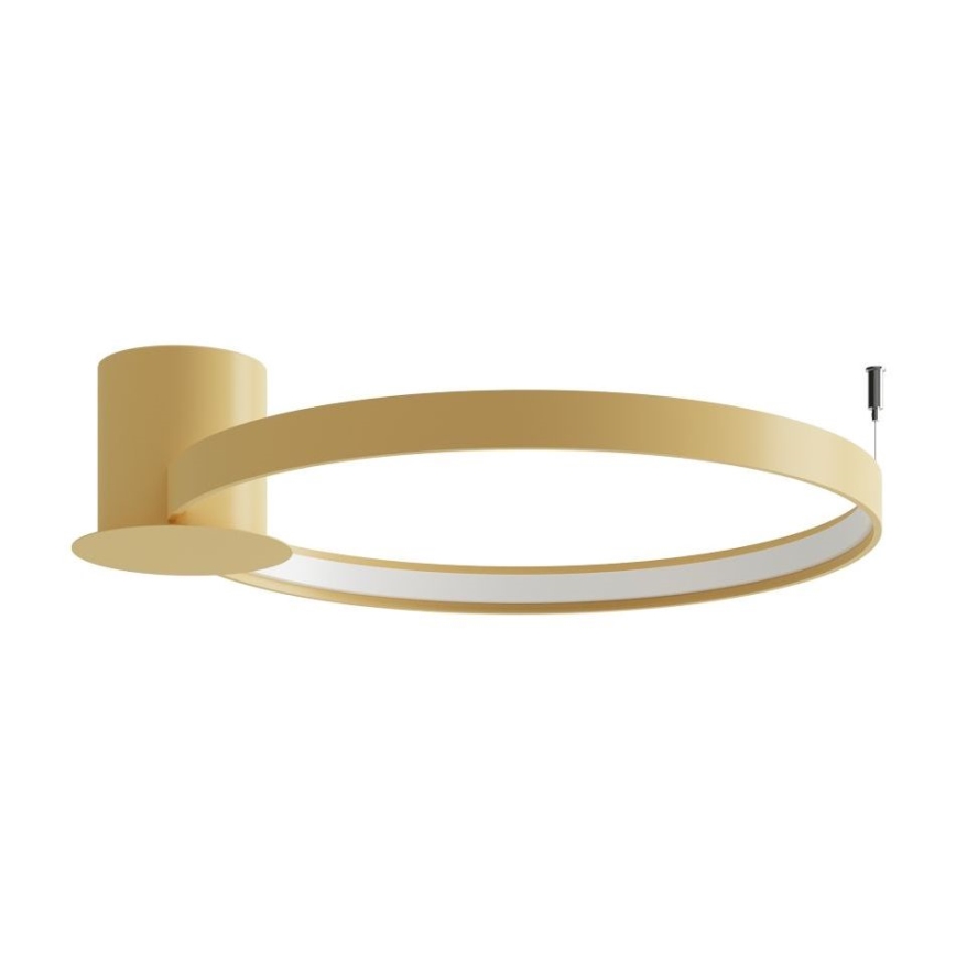 Thoro TH.222 - Стельовий LED світильник RIO LED/30W/230V CRI 90 3000K діаметр 55 см золотий