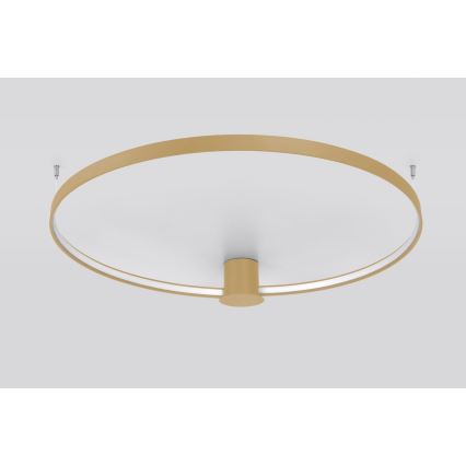 Thoro TH.222 - Стельовий LED світильник RIO LED/30W/230V CRI 90 3000K діаметр 55 см золотий