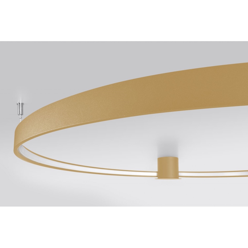 Thoro TH.222 - Стельовий LED світильник RIO LED/30W/230V CRI 90 3000K діаметр 55 см золотий