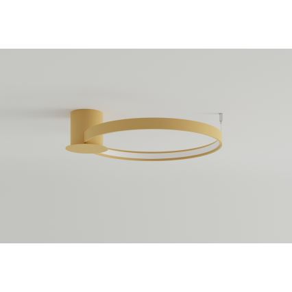 Thoro TH.222 - Светодиодный потолочный светильник RIO LED/30W/230V CRI 90 3000K диаметр 55 см золотистый