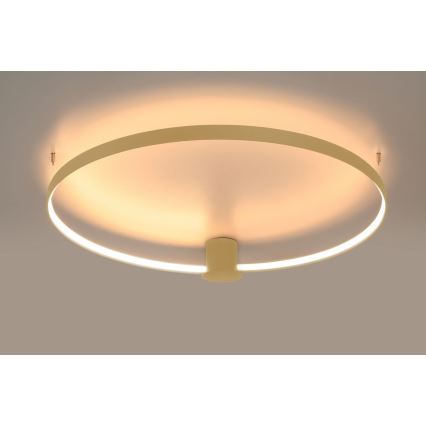 Thoro TH.222 - Светодиодный потолочный светильник RIO LED/30W/230V CRI 90 3000K диаметр 55 см золотистый