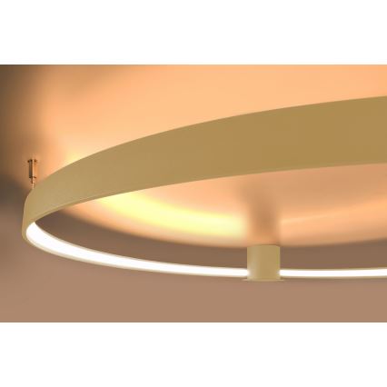 Thoro TH.222 - Светодиодный потолочный светильник RIO LED/30W/230V CRI 90 3000K диаметр 55 см золотистый