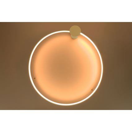 Thoro TH.222 - Светодиодный потолочный светильник RIO LED/30W/230V CRI 90 3000K диаметр 55 см золотистый