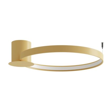 Thoro TH.223 - Стельовий LED світильник RIO LED/30W/230V CRI 95 4000K діаметр 55 см золотистий