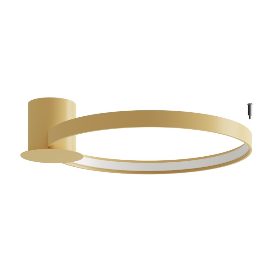 Thoro TH.223 - Стельовий LED світильник RIO LED/30W/230V CRI 95 4000K діаметр 55 см золотистий