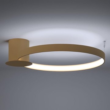 Thoro TH.223 - Светодиодный потолочный светильник RIO LED/30W/230V CRI 95 4000K диаметр 55 см золотистый