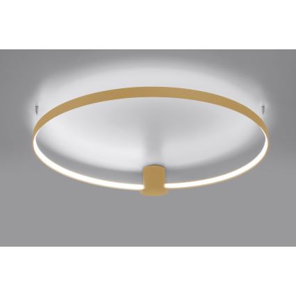 Thoro TH.223 - Светодиодный потолочный светильник RIO LED/30W/230V CRI 95 4000K диаметр 55 см золотистый