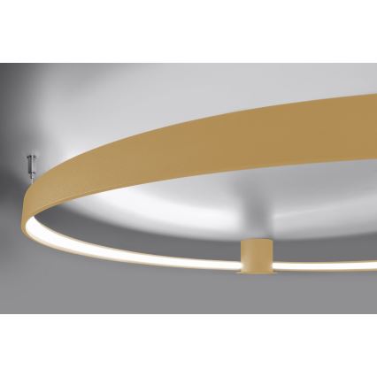 Thoro TH.223 - Светодиодный потолочный светильник RIO LED/30W/230V CRI 95 4000K диаметр 55 см золотистый