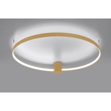 Thoro TH.223 - Светодиодный потолочный светильник RIO LED/30W/230V CRI95 4000K диаметр 55 см золотой