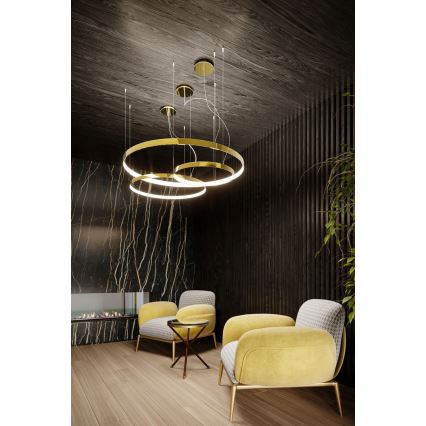 Thoro TH.246 - Светодиодная подвесная люстра RIO LED/50W/230V CRI 90 3000K диаметр 78 см золотистый