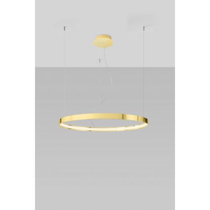Thoro TH.246 - Светодиодная подвесная люстра RIO LED/50W/230V CRI 90 3000K диаметр 78 см золотистый