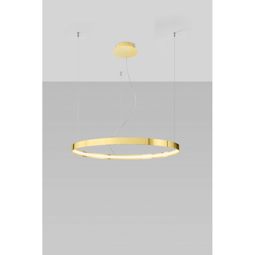 Thoro TH.246 - Светодиодная подвесная люстра RIO LED/50W/230V CRI 90 3000K диаметр 78 см золотистый