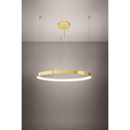 Thoro TH.246 - Светодиодная подвесная люстра RIO LED/50W/230V CRI 90 3000K диаметр 78 см золотистый