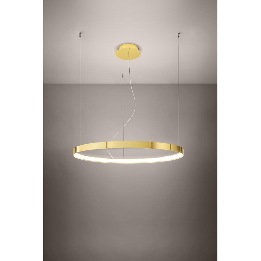 Thoro TH.246 - Светодиодная подвесная люстра RIO LED/50W/230V CRI 90 3000K диаметр 78 см золотистый