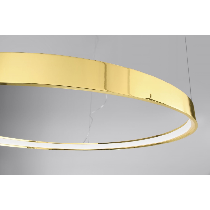 Thoro TH.246 - Светодиодная подвесная люстра RIO LED/50W/230V CRI 90 3000K диаметр 78 см золотистый