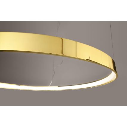 Thoro TH.246 - Светодиодная подвесная люстра RIO LED/50W/230V CRI 90 3000K диаметр 78 см золотистый