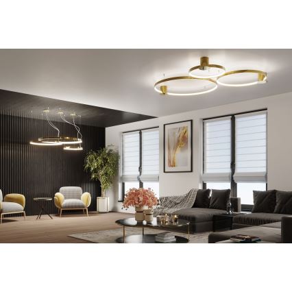 Thoro TH.252 - Светодиодный потолочный светильник RIO LED/50W/230V CRI 90 3000K диаметр 78 см золотистый