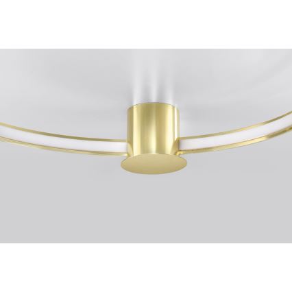Thoro TH.252 - Светодиодный потолочный светильник RIO LED/50W/230V CRI 90 3000K диаметр 78 см золотистый