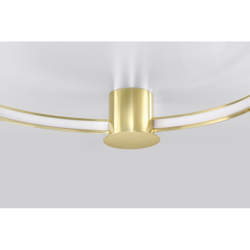 Thoro TH.252 - Светодиодный потолочный светильник RIO LED/50W/230V CRI 90 3000K диаметр 78 см золотистый