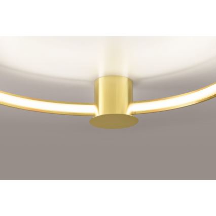 Thoro TH.252 - Светодиодный потолочный светильник RIO LED/50W/230V CRI 90 3000K диаметр 78 см золотистый