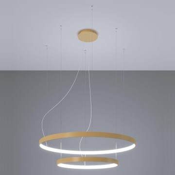 Thoro TH.268 - Светодиодная подвесная люстра RIO LED/80W/230V CRI 95 4000K золотистый
