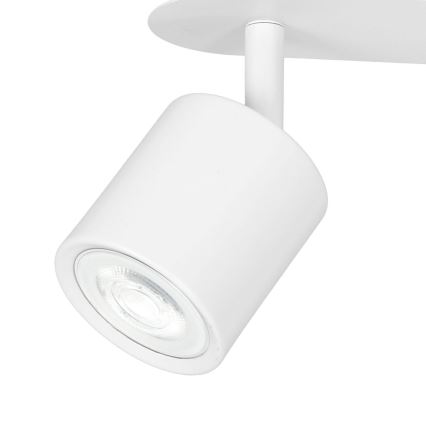 Точечный светильник DEMIA 2xGU10/8W/230V белая