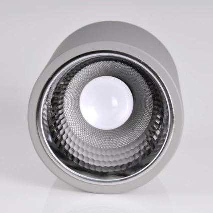 Точечный светильник JUPITER 1xE27/20W/230V диаметр 16,5 см серый