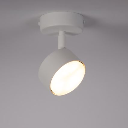 Точечный светильник NEMO 1xGX53/12W/230V белый