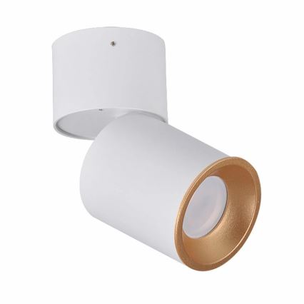 Точечный светильник NIXA 1xGU10/10W/230V белый/золотой