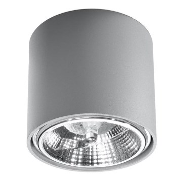 Точечный светильник TIUBE 1xGU10-AR111/10W/230V