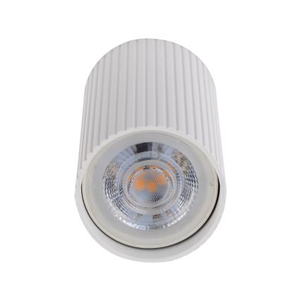 Точечный светильник TUNE S, 1xGU10/10W/230V, 10 см, белый