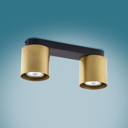 Точечный светильник VICO GOLD 2xGU10/10W/230V
