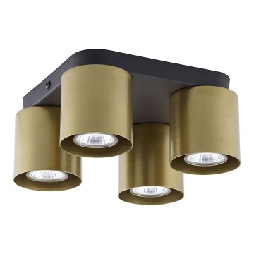 Точечный светильник VICO GOLD 4xGU10/10W/230V