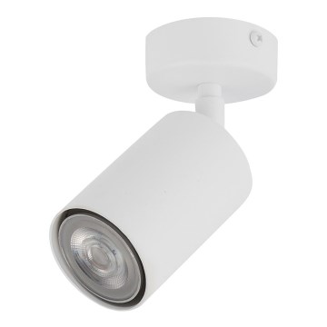 Точечный светильник ZOOM 1xGU10/25W/230V белый