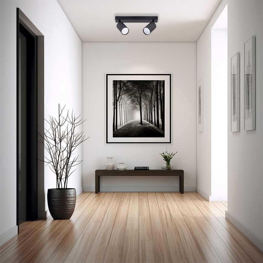 Точечный светильник 2xGU10/35W/230V черный