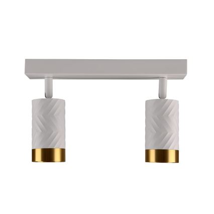 Точечный светильник ARRAS 2xGU10/10W/230V белый