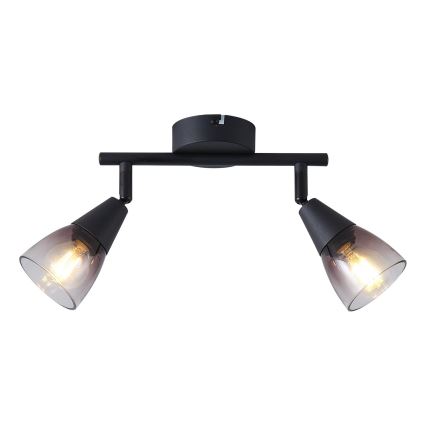 Точечный светильник CLASSY 2xE14/7W/230V