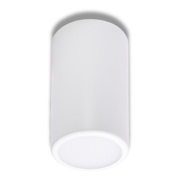 Точечный светильник CLEO 1xE27/24W/230V белый