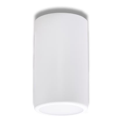 Точечный светильник CLEO 1xE27/24W/230V белый