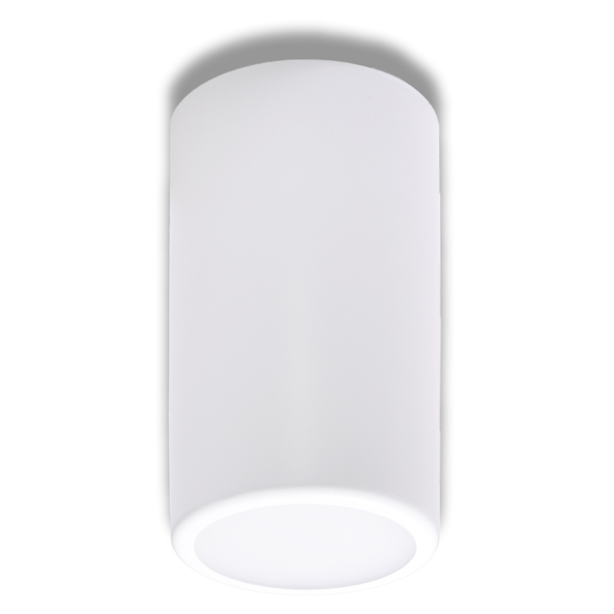 Точечный светильник CLEO 1xE27/24W/230V белый