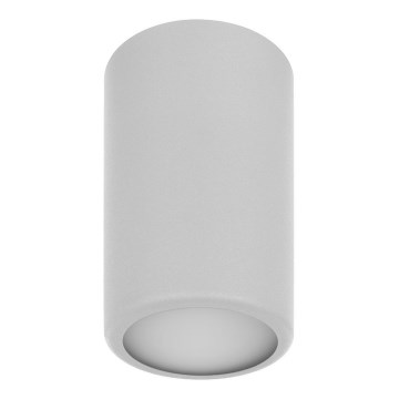 Точечный светильник CLEO 1xE27/24W/230V серый