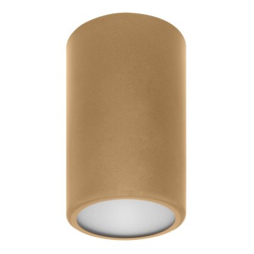 Точечный светильник CLEO 1xE27/24W/230V золотой