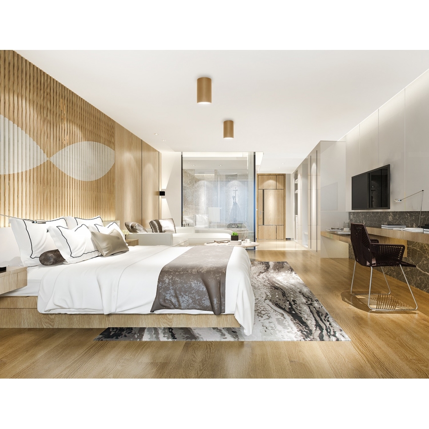 Точечный светильник CLEO 1xE27/24W/230V золотой