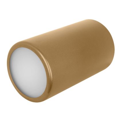 Точечный светильник CLEO 1xE27/24W/230V золотой