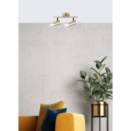 Точечный светильник COLLY 2xGU10/15W/230V золотистый