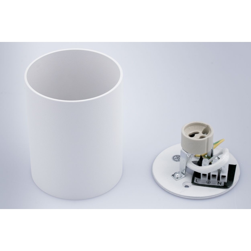 Точечный светильник CREEP 1xGU10/50W/230V белый