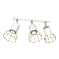 Точечный светильник DANTE 3xGU10/25W/230V белый/золотой
