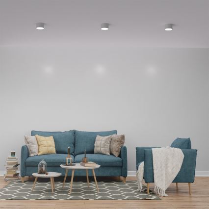 Точечный светильник DIXIE 1xGX53/11W/230V белый