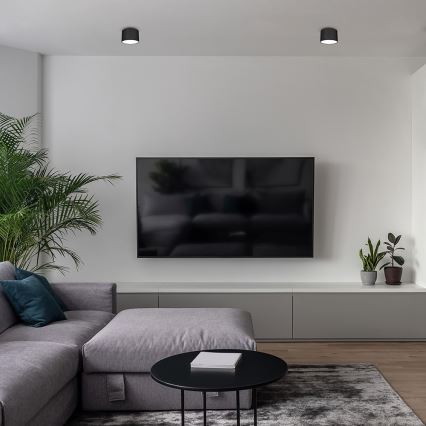 Точечный светильник DIXIE 1xGX53/11W/230V черный