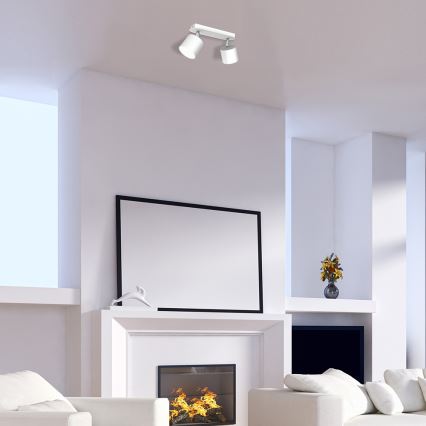 Точечный светильник DIXIE 2xGX53/11W/230V белый